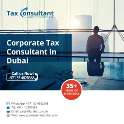 Avoid Costly Corporate Tax Penalties in UAE  Free Expert Guide